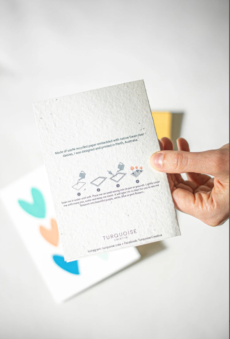 Seasons Greeting - Greeting Cards made with Plantable seeded paper