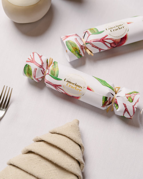 Conscious Christmas Crackers - Individual Crackers