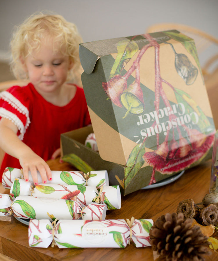Conscious Christmas Crackers