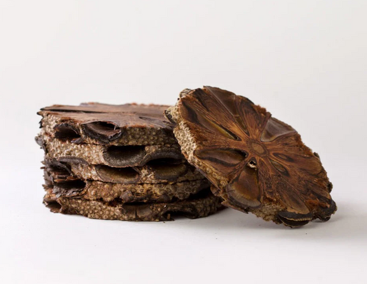 Banksia Coasters (Set of 6)