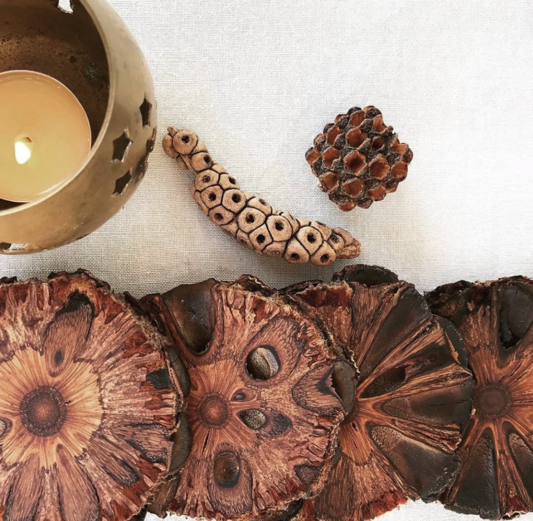 Banksia Coasters (Set of 6)